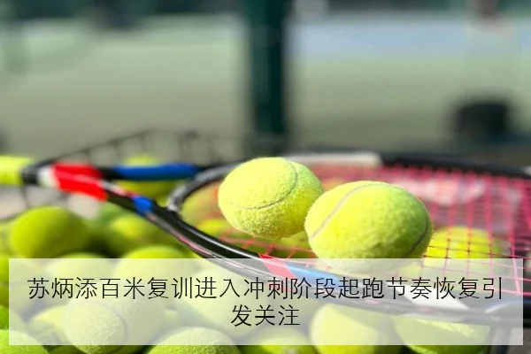苏炳添百米复训进入冲刺阶段起跑节奏恢复引发关注